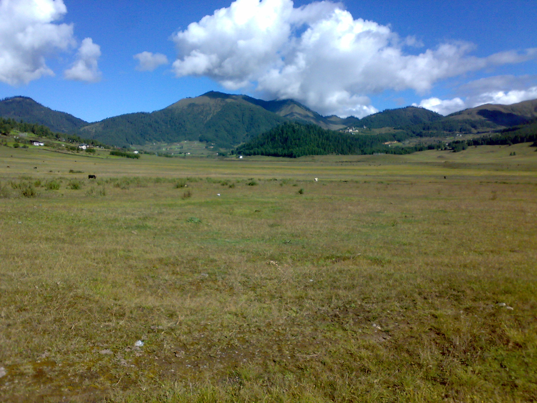Open meadows and forested mountains in Phobjikha Valley, Bhutan